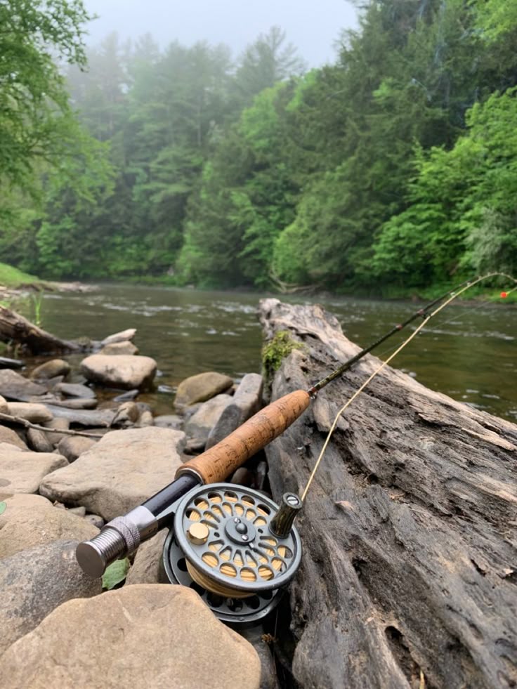 Fishing